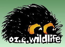 OZe Wildlife - Holiday Cairns 0