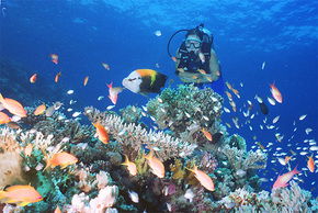  Holiday Cairns