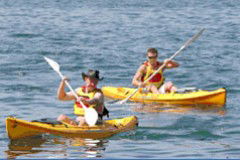 Manly Kayaks - Holiday Cairns 0