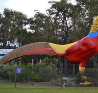 Gumbuya Park - Holiday Cairns