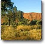 Uluru - Kata Tjuta National Park - Holiday Cairns