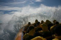 Jetboating Sydney - Holiday Cairns 1