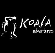 Koala Adventures - Holiday Cairns