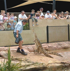 Symbio Wildlife Gardens - Holiday Cairns 3