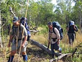 Adventure Out - Holiday Cairns 3