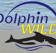 Dolphin Wild - Holiday Cairns