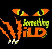 Something Wild - Holiday Cairns