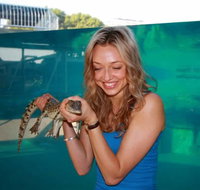 Crocosaurus Cove - Holiday Cairns