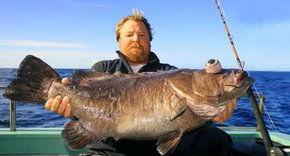 Bravo Fishing Charters - Holiday Cairns 0