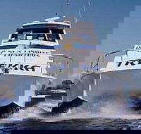Sunshine Coast Fishing Charters - Holiday Cairns