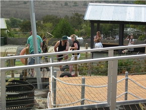 Auldana SA Holiday Cairns