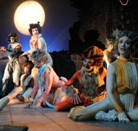 Harvest Rain Theatre Company - Holiday Cairns
