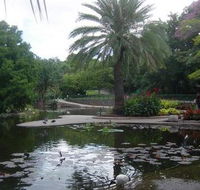 Brisbane City Botanic Gardens - Holiday Cairns