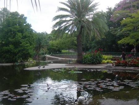 Brisbane City Botanic Gardens - Holiday Cairns 0