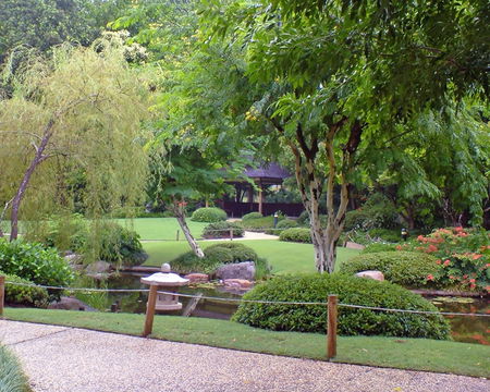 Brisbane City Botanic Gardens - Holiday Cairns 1