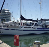Coral Sea Dreaming Dive and Sail - Holiday Cairns