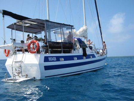 Coral Sea Dreaming Dive And Sail - Holiday Cairns 3