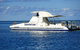 Sunlover Reef Cruises - thumb 1
