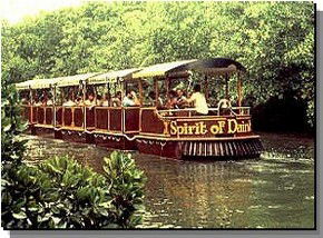 Upper Daintree QLD Holiday Cairns
