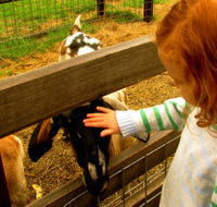 Collingwood Children's Farm - Holiday Cairns