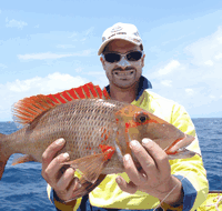 Carlo Fishing Charters - Holiday Cairns