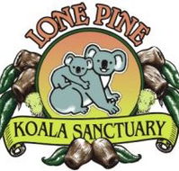 Lone Pine Koala Sanctuary - Holiday Cairns