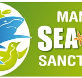 Manly SEA LIFE Sanctuary - Holiday Cairns
