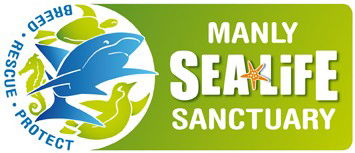 Manly SEA LIFE Sanctuary - Holiday Cairns 0