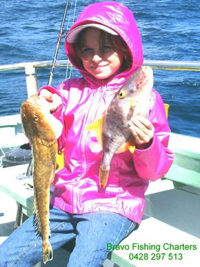 Bravo Fishing Charters - Holiday Cairns 5