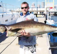 True Blue Fishing Charters - Holiday Cairns