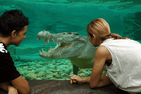 Cairns Wildlife Dome - Holiday Cairns 1