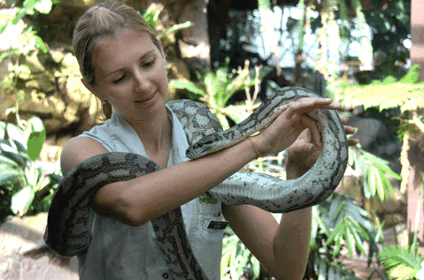 Cairns Wildlife Dome - Holiday Cairns 2