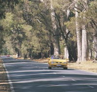 Ludlow Tuart Forest - Holiday Cairns