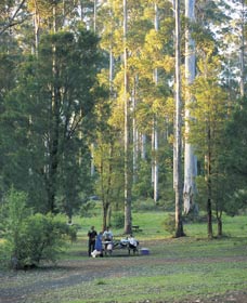 Big Brook Arboretum - Holiday Cairns 0