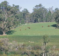 Scenic Drives - Bunbury Collie Donnybrook - Holiday Cairns
