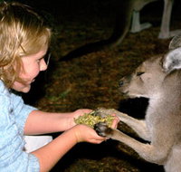 Discovery Bay's Walk on the Wild Side - Holiday Cairns