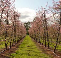 Raeburn Orchards - Holiday Cairns