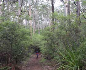 Cowaramup WA Holiday Cairns