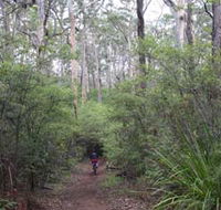 Margaret River Rails Trail - Holiday Cairns