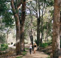 Law Trail and Lotterywest Federation Walkway Kings Park - Holiday Cairns