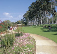 Kings Park Free Guided Walks - Holiday Cairns