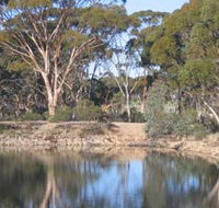 Merredin Railway Dam - Holiday Cairns