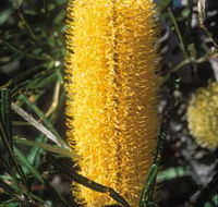 Moore River National Park - Holiday Cairns