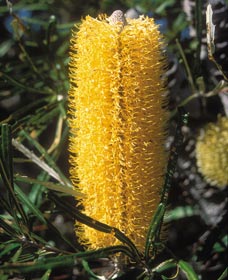 Moore River National Park - Holiday Cairns 0