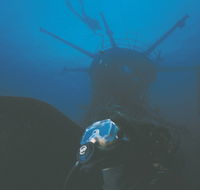 Swan Dive Wreck - Holiday Cairns