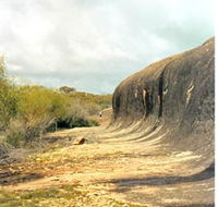 Totadgin Dam Reserve - Holiday Cairns