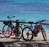 Parker Point Marine Snorkel Trail - Holiday Cairns