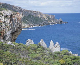 Point D'Entrecasteaux - Holiday Cairns 0