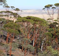 Mount Matilda Walk Trail Wongan Hills - Holiday Cairns