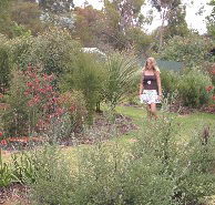 The Mythic Mazes - Holiday Cairns